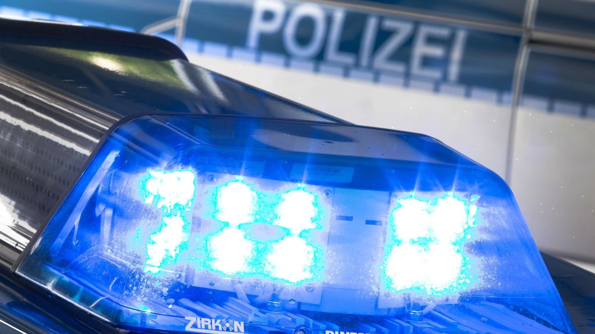 Bremerhaven Besorgte Rentnerin Ruft Polizei Wegen Schlange Cnv