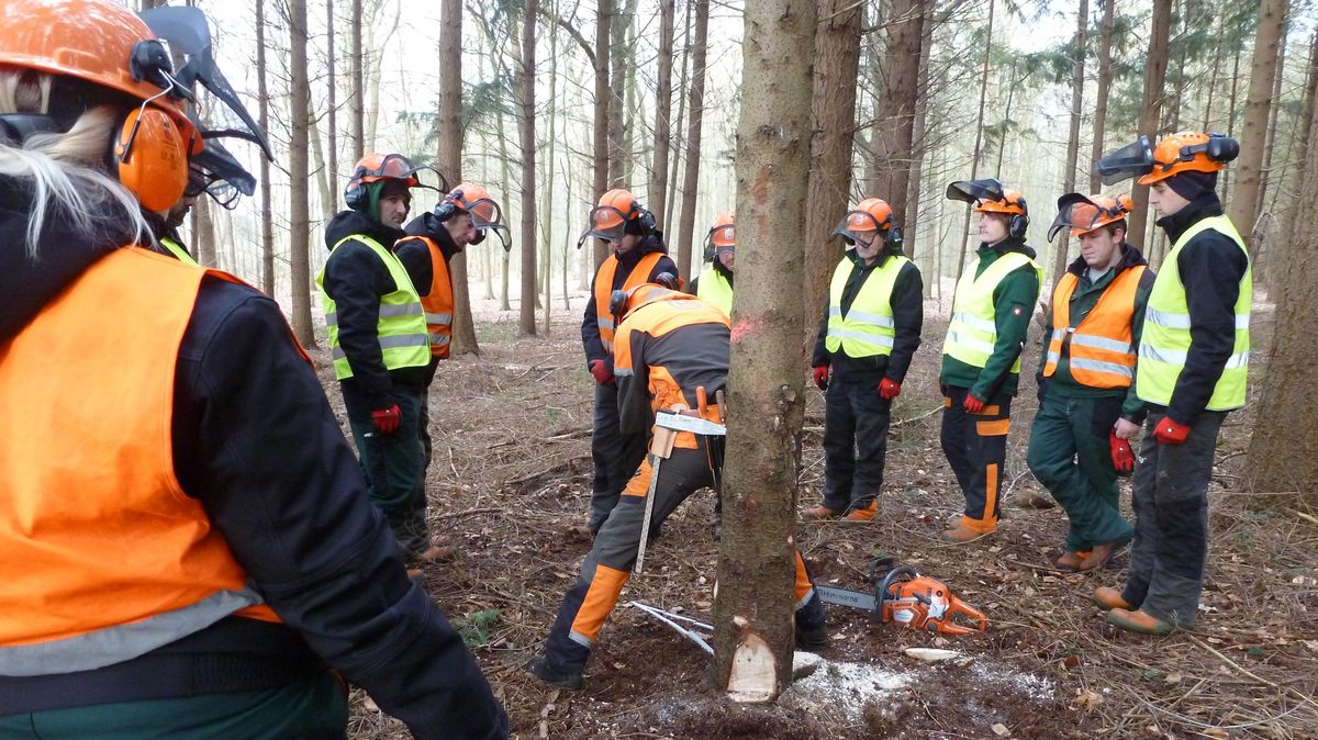 Qualifizierung Im Garten Und Landschaftsbau Der Lebenshilfe Cnv