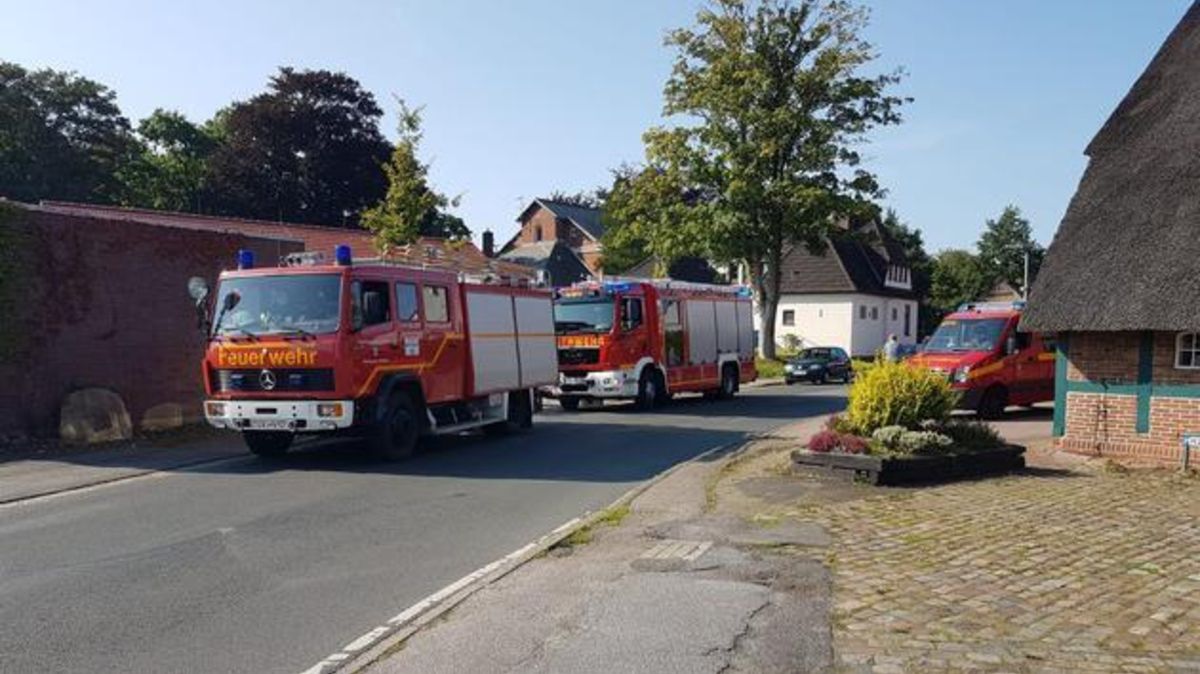 Schiffdorf Dreijähriger steckt im Baum fest und wird