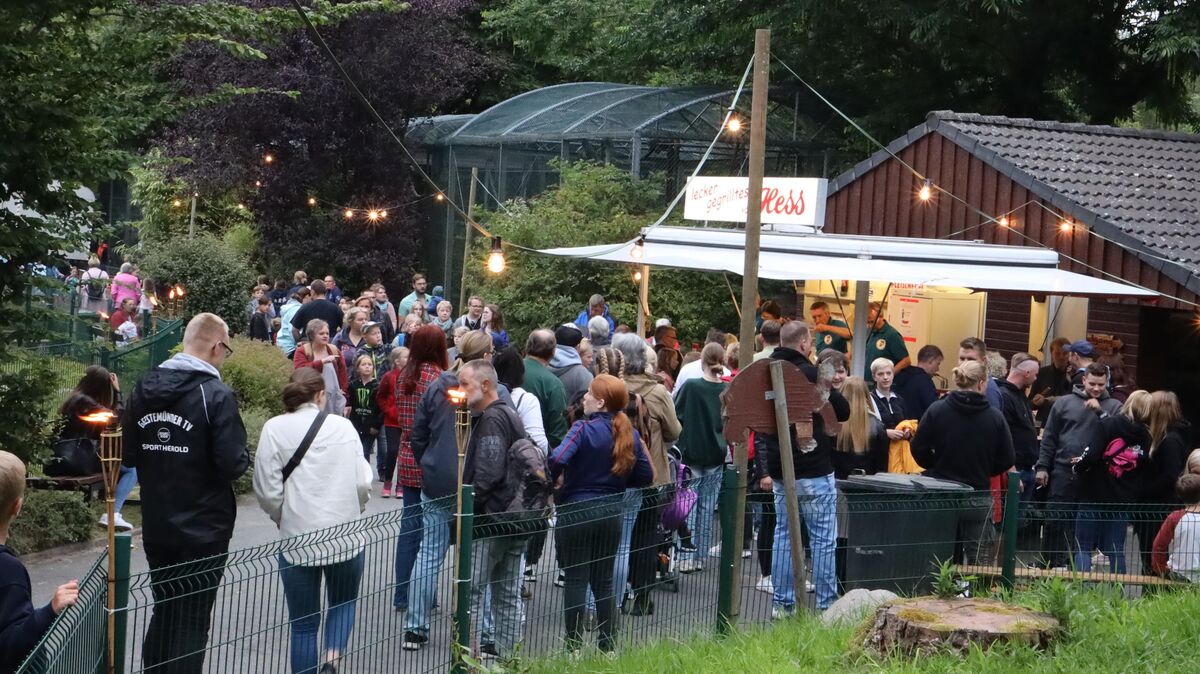 Tropennacht Im Wingster Waldzoo Mit Feurigem Höhepunkt 